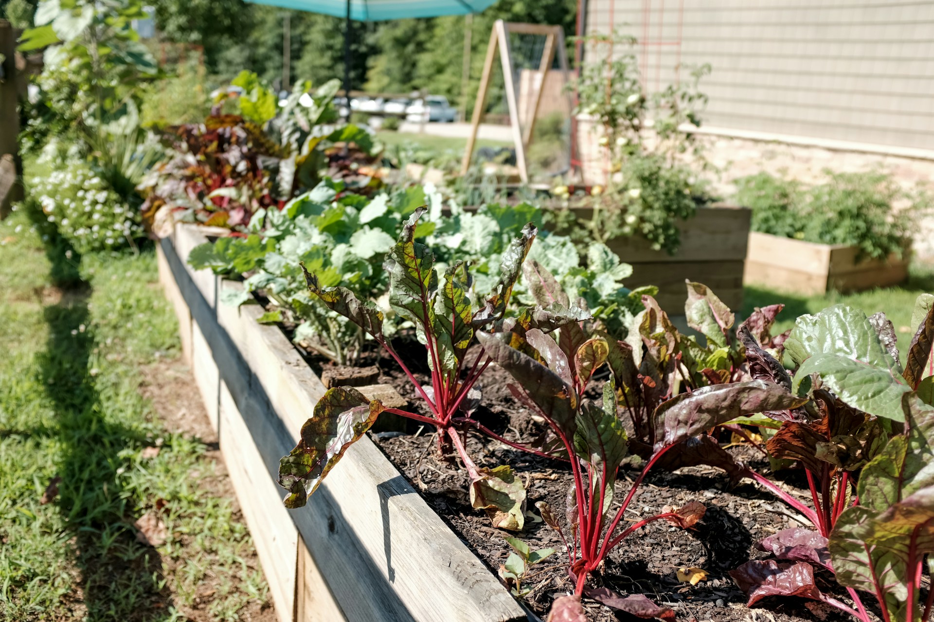 Seasonal Gardening Guide